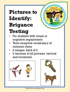 Preview of Brigance Images: Receptive Identification of Pictures of Common Items