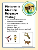 Brigance Images: Receptive Identification of Pictures of C