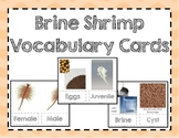 Brine Shrimp Vocabulary Cards