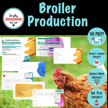 Preview of Broiler Production- Animal Science No-Prep! Remote Learning Friendly!