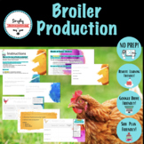 Broiler Production- Animal Science No-Prep! Remote Learnin