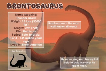 Preview of Brontosaurus - Dinosaur Poster & Handout