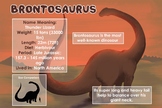 Brontosaurus - Dinosaur Poster & Handout