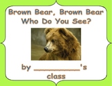 Brown Bear Class Book based on "Brown Bear, Brown Bear Wha