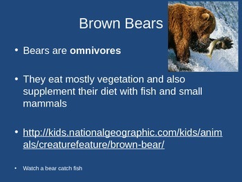 Bear Facts  Styling into summer