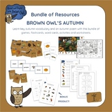 Brown Owl's Autumn - Bundle of Games, Activities & Worksheets