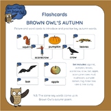 Brown Owl's Autumn - Flashcards and Word Cards