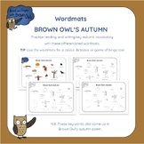 Brown Owl's Autumn - Wordmats