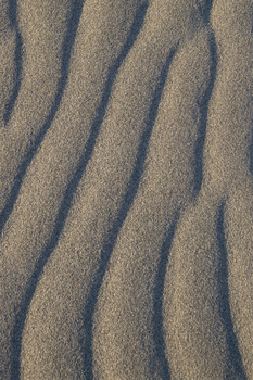 Preview of Bruneau Dunes sand patterns Powerpoint photo.