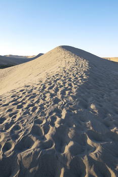 Preview of Bruneau Dunes summit of small dune Powerpoint image.
