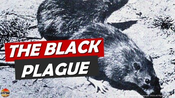 Preview of Bubonic Plague The Black Death PowerPoint Slides Outline Notes & YouTube Videos