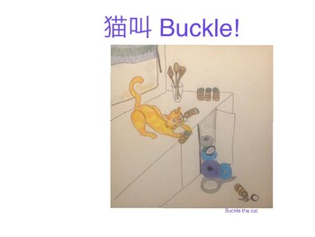 Preview of Buckle the cat 猫叫Buckle .