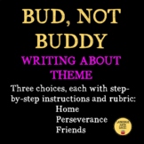 Bud, Not Buddy: 3 Theme Essays