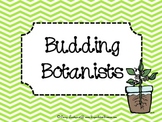 Budding Botanists {germinating science fun}