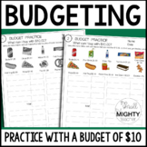 Budget Activity - Worksheets