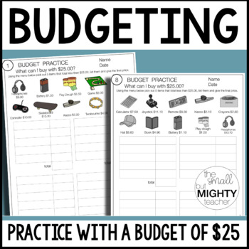 Preview of Budget Activity, money math, functional math