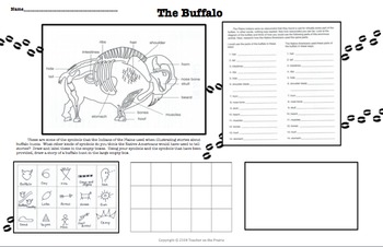 Preview of Buffalo Activity Poster