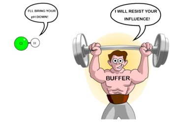 Buffers Review by Easy Peasy Chemistry | TPT