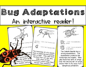 Preview of Bug Adaptations - An Interactive Reader