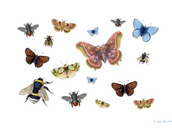 Preview of Bug and Butterfly Classroom Banner, Bulletin Decoration and Activity