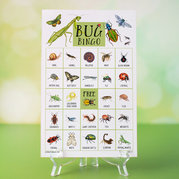 Preview of Bug Bingo - 50 Cards