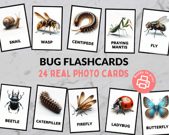 Preview of Bug Flashcards & Montessori 3-Part Nomenclature Cards