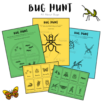 Preview of Bug Hunt Printable Book• All About Bugs • Insects • Zoology