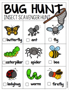 Bug Hunt: An Insect Scavenger Hunt by Denise Hill | TpT