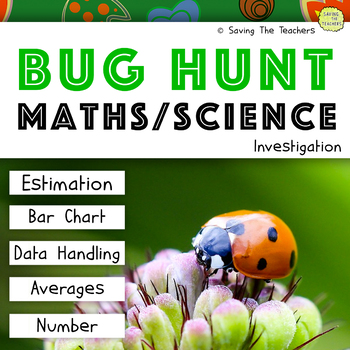 Preview of Bug Hunt Maths and Science Investigation