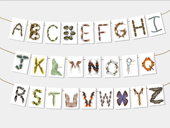 SHOXREM Alphabet Poster, Insect Theme Alphabet Chart Designed to Make  Learning Fun for Your Little Explorer, Abc Poster for Toddlers Wall,  Learning