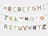 Bug & Insect Alphabet Letters | Insect Bulletin Board | Ph