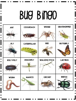 Preview of Bug (Insect) BINGO