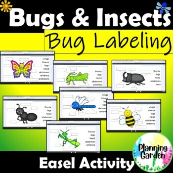 Preview of Bug Labeling | Parts of a Bug: Easel Activity