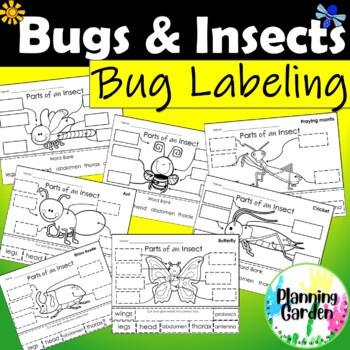Preview of Bug Labeling | Parts of a Bug, Insect, Butterfly {spring, label, bug, insect}