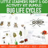 Bug Life Cycle Worksheets Bundle