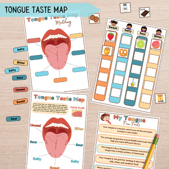 Preview of Tongue Taste Buds for Kids Anatomy Busy Book Pages, Mouth Tongue Lesson