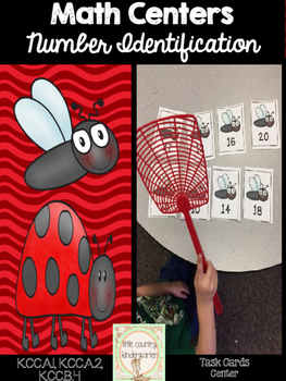 Preview of Number Identification Activities: Bug Numbers 1-100