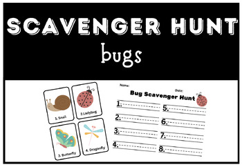 Preview of Bug Scavenger Hunt / Write the Room