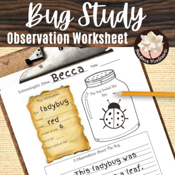 Preview of Bug Study Montessori Insects Observation Early Writing