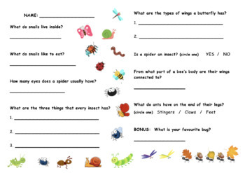 Insect Trivia Hunt By Inspire And Teach Au Teachers Pay Teachers