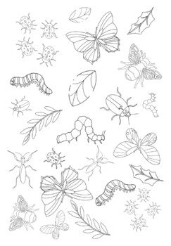 Preview of Bug printable coloring sheet- Can be used with multiple books!