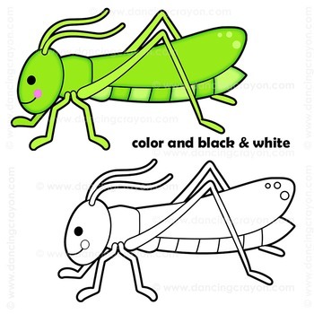 insects and bugs clipart white and black