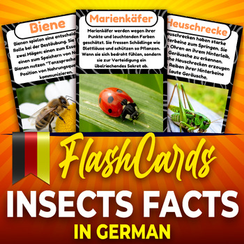 Preview of Bugs, German Fun Facts Flashcards, Real Photos Printable Poster Insects for kids