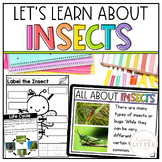 Bugs & Insects Activities, Craft, Worksheets, Slides - But