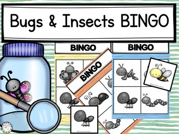 Bugs & Insects BINGO by Ohayou Brittney Sensei | TpT