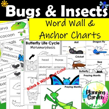 Preview of Bugs, Insects, Butterflies Word Wall Cards & Anchor Chart {Insect Vocabulary}