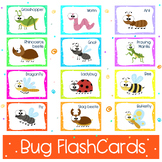 Bugs | Insects Flash Cards