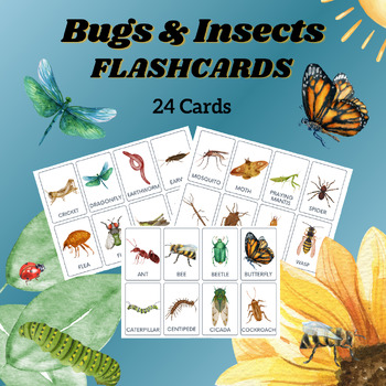 Bugs & Insects Flashcards, PreK, Kindergarten, Homeschool, Printables ...