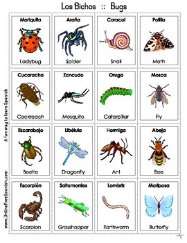 Bugs - Los insectos - Bingo Bilingüe - Bilingual bingo by onlinefreespanish