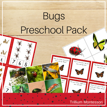 Preview of Bugs Unit Preschool and PreK Skills